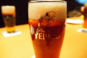 散歩の〆は、皆で乾杯！